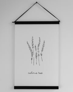 illustration | calme toé