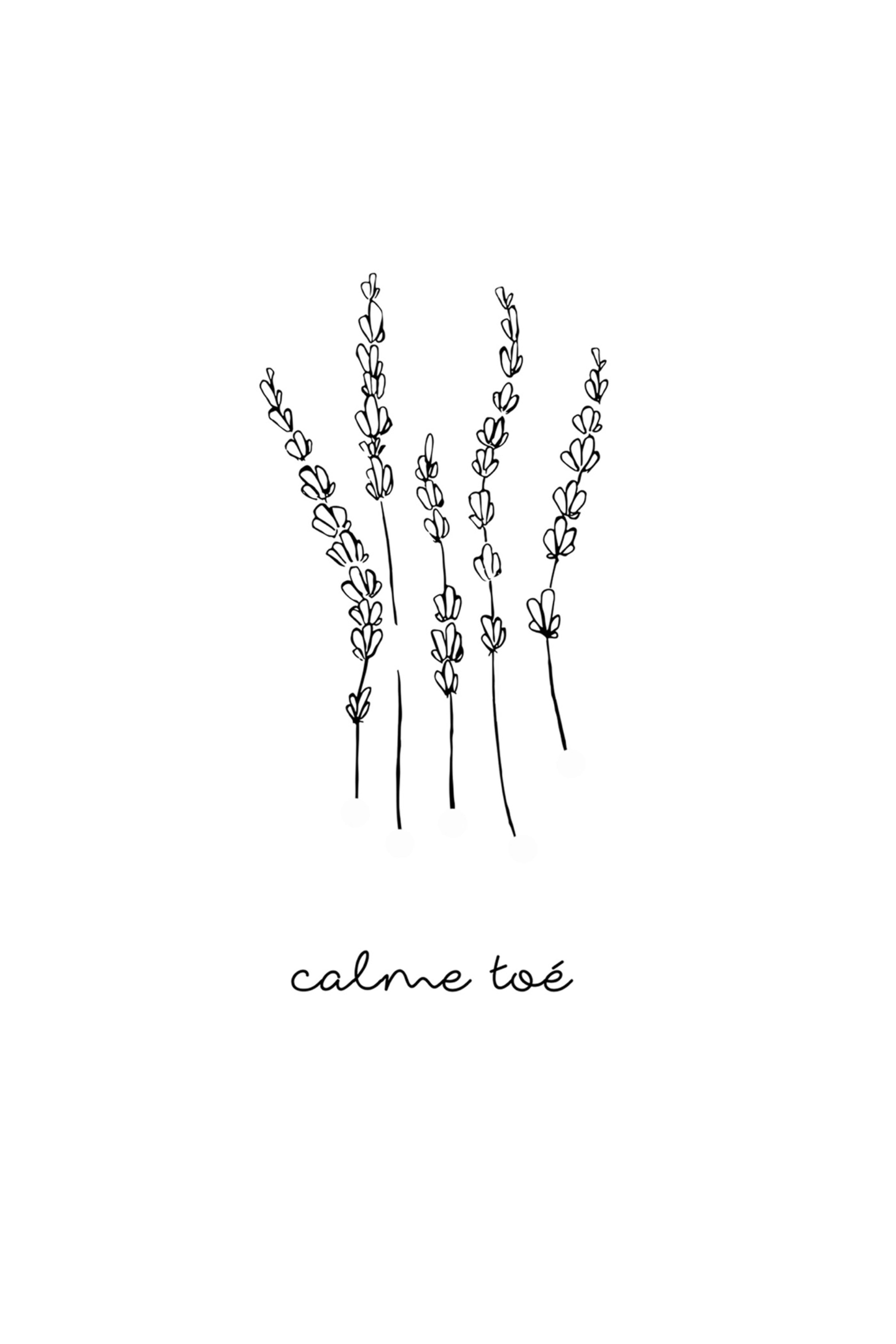 illustration | calme toé