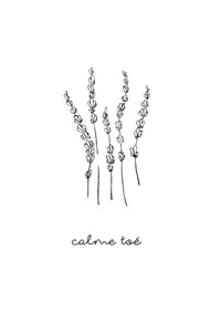 illustration | calme toé