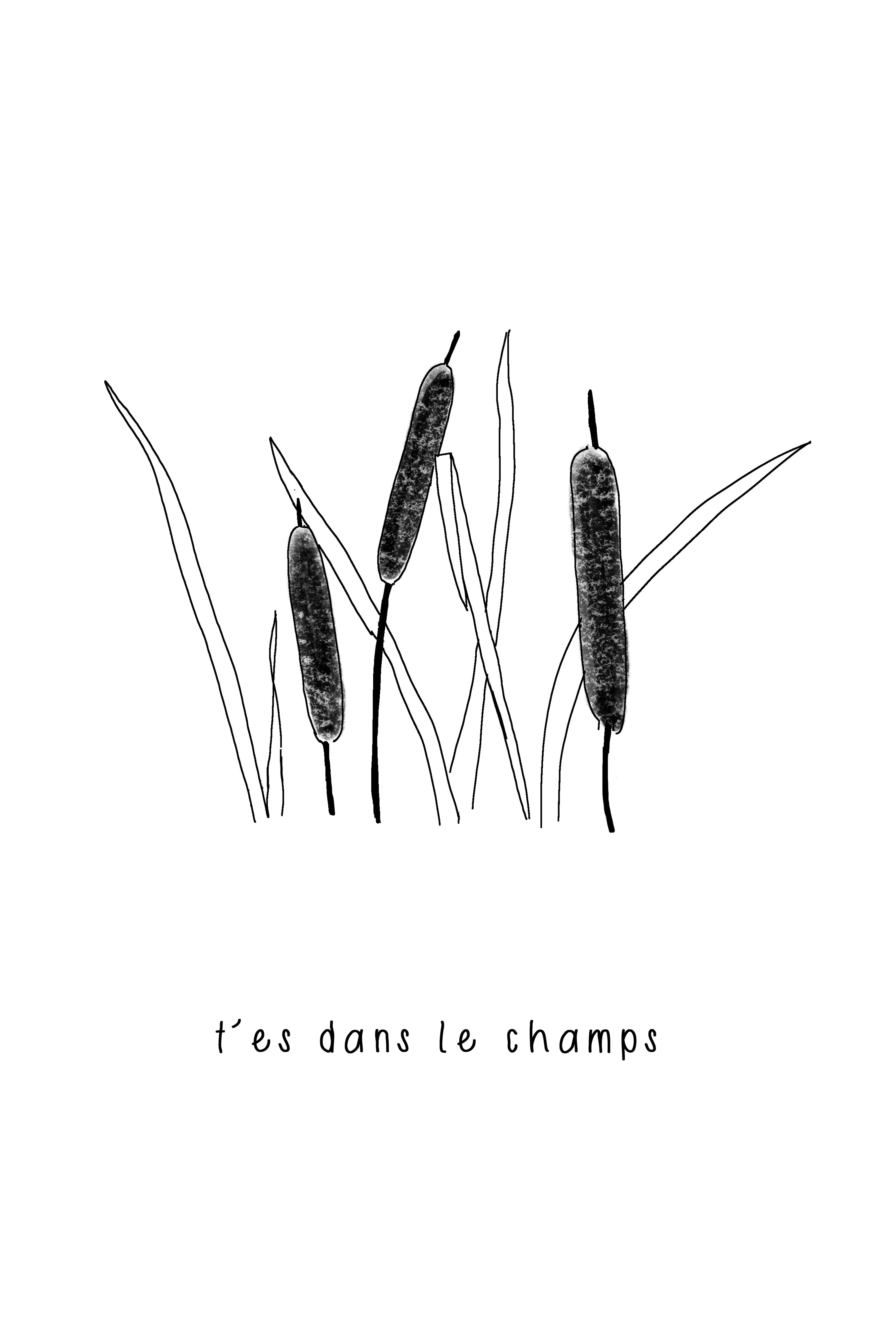 illustration | t'es dans le champ