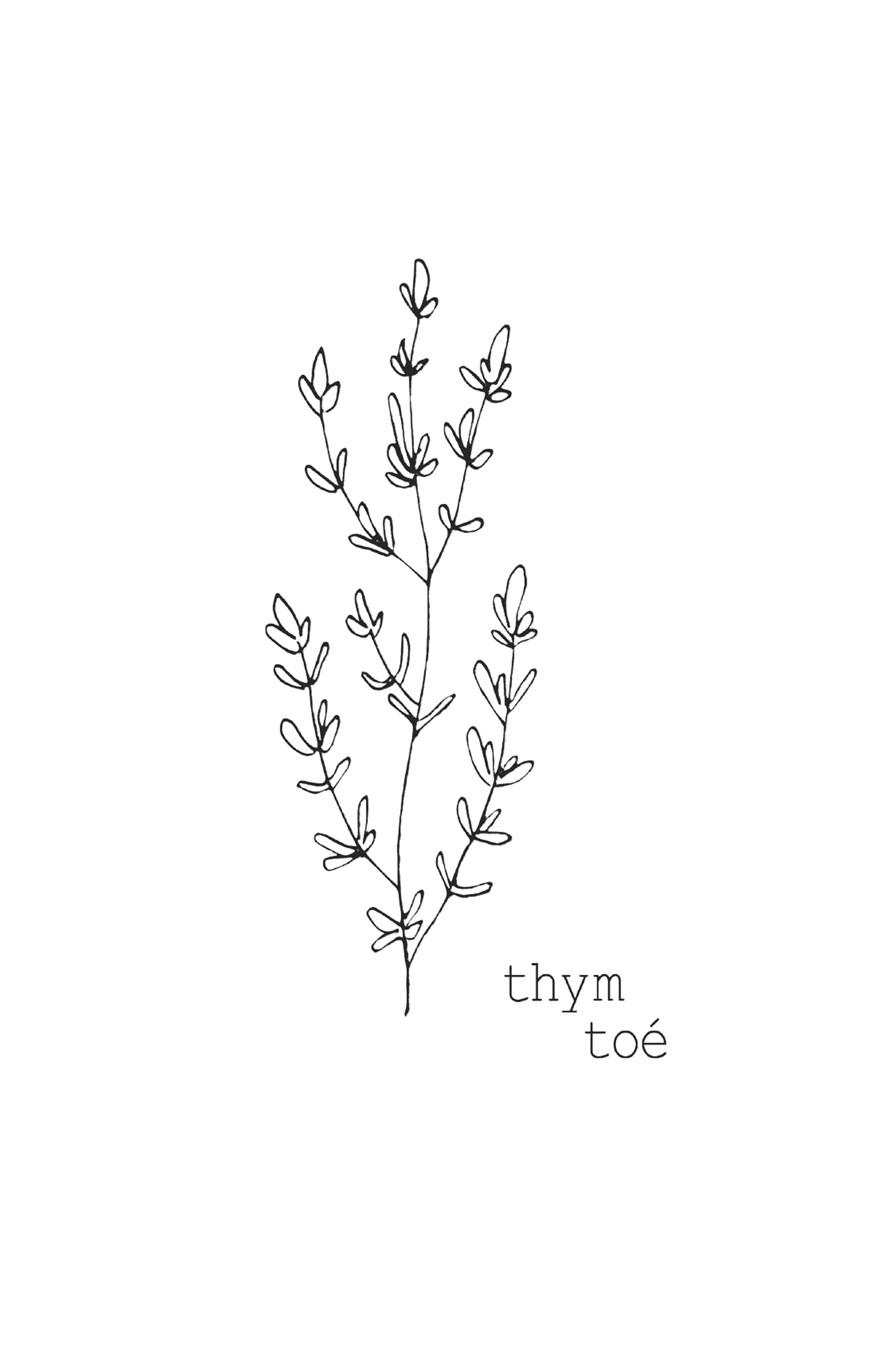 illustration | thym toé