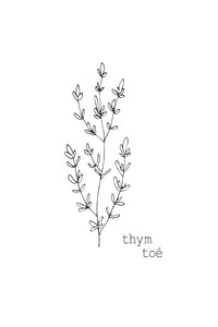 illustration | thym toé